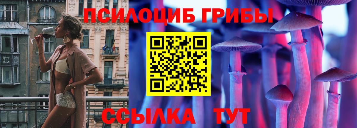 Серов  Псилоцибиновые грибы GOLDEN TEACHER  Вход с VPN  Псилоцибиновые грибы прущие грибы 